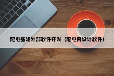 配電基建外部軟件開發與經營策略